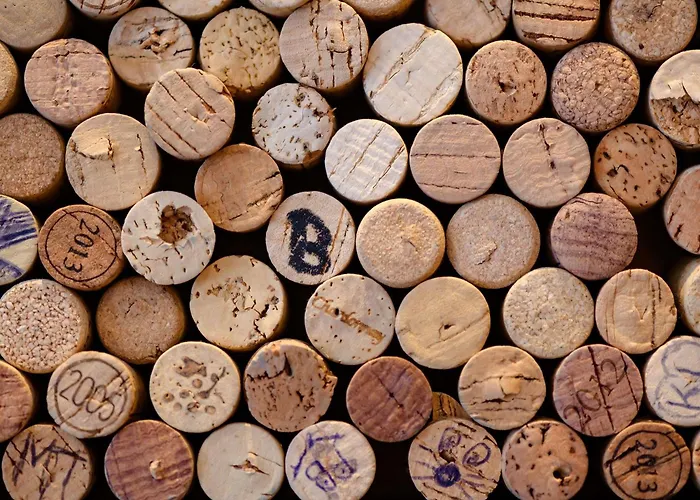 فندق ميركيور سسيتي